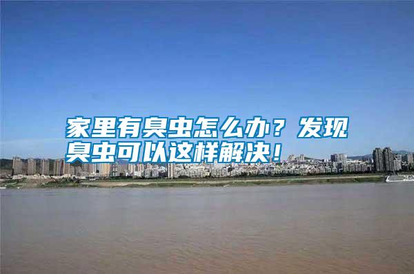 家里有臭蟲(chóng)怎么辦？發(fā)現(xiàn)臭蟲(chóng)可以這樣解決！