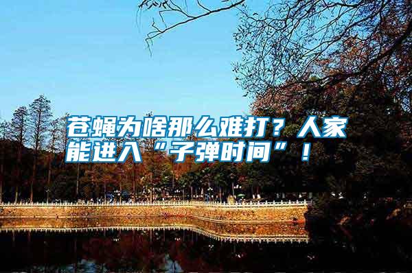 蒼蠅為啥那么難打？人家能進(jìn)入“子彈時(shí)間”！