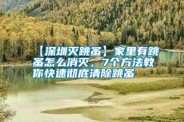 【深圳滅跳蚤】家里有跳蚤怎么消滅，7個方法教你快速徹底清除跳蚤
