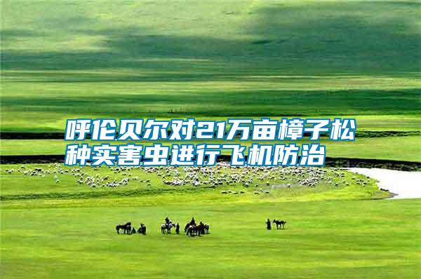 呼倫貝爾對21萬畝樟子松種實害蟲進(jìn)行飛機(jī)防治