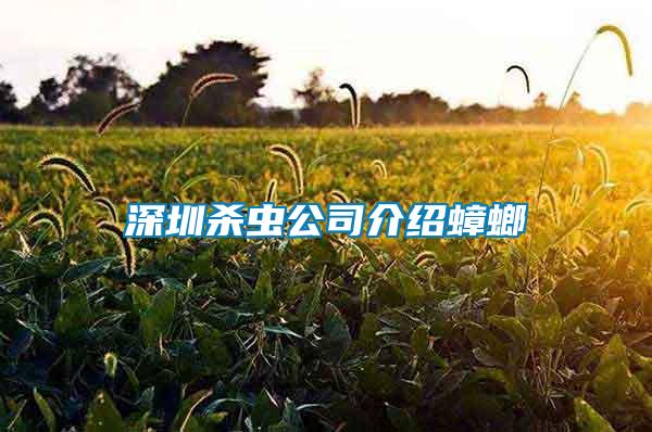 深圳殺蟲(chóng)公司介紹蟑螂