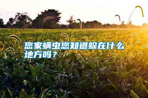 您家螨蟲您知道躲在什么地方嗎？
