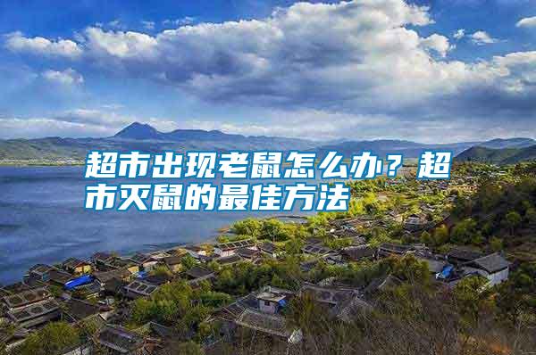 超市出現(xiàn)老鼠怎么辦？超市滅鼠的最佳方法