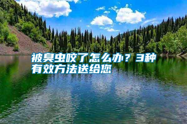 被臭蟲咬了怎么辦？3種有效方法送給您