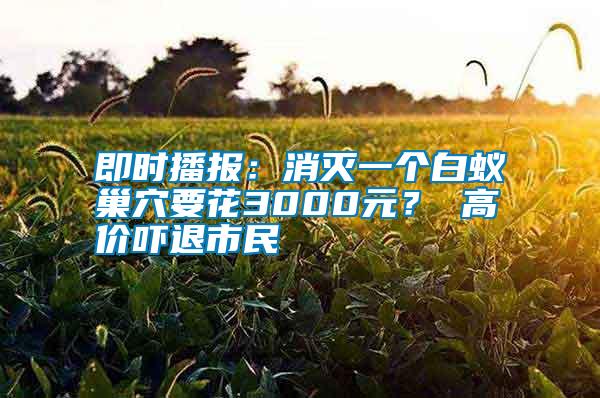 即時播報：消滅一個白蟻巢穴要花3000元？ 高價嚇退市民