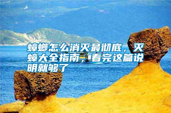 蟑螂怎么消滅最徹底，滅蟑大全指南，看完這篇說明就夠了