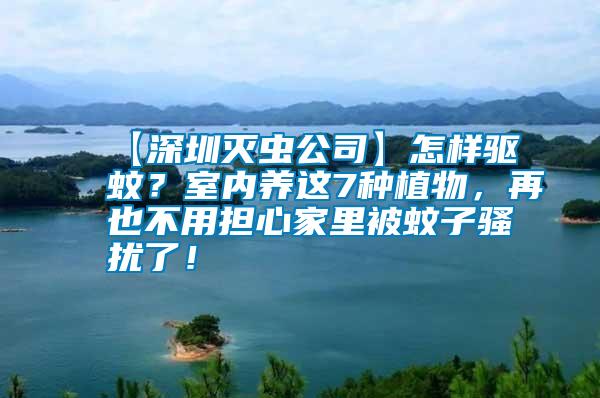 【深圳滅蟲公司】怎樣驅蚊？室內養這7種植物，再也不用擔心家里被蚊子騷擾了！