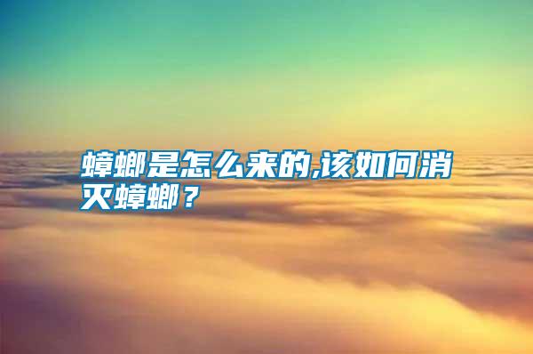 蟑螂是怎么來的,該如何消滅蟑螂？