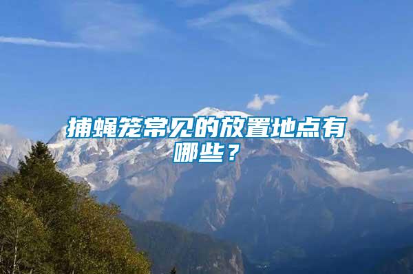 捕蠅籠常見的放置地點(diǎn)有哪些？