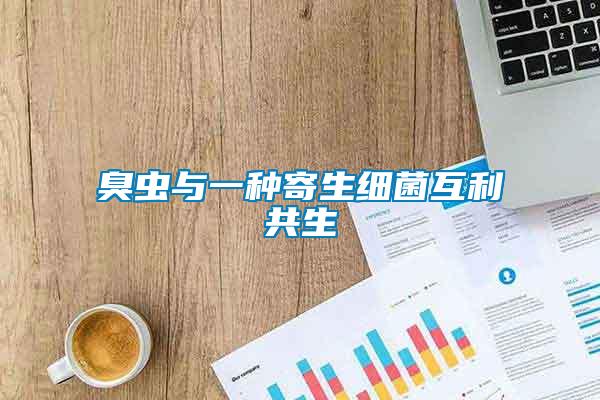 臭蟲與一種寄生細(xì)菌互利共生