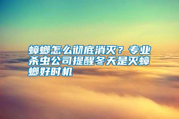 蟑螂怎么徹底消滅？專業殺蟲公司提醒冬天是滅蟑螂好時機