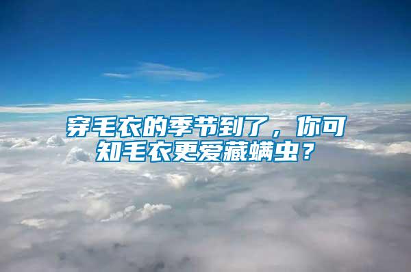 穿毛衣的季節(jié)到了，你可知毛衣更愛藏螨蟲？