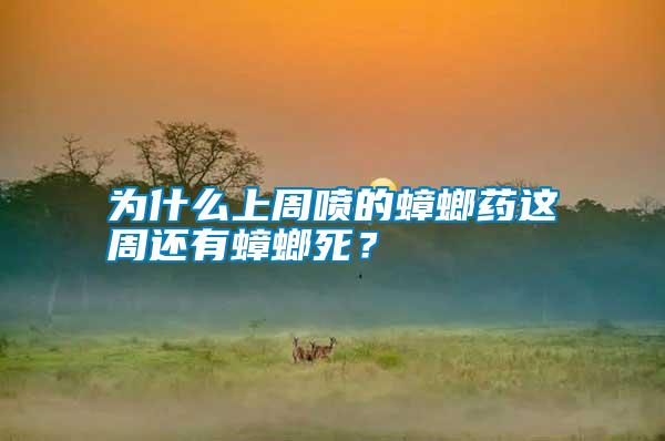 為什么上周噴的蟑螂藥這周還有蟑螂死？