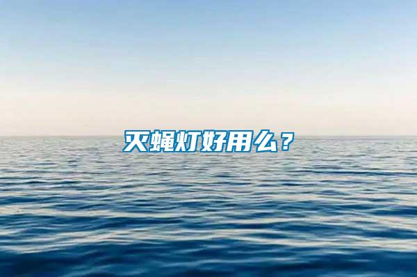 滅蠅燈好用么？