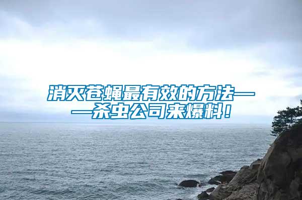 消滅蒼蠅最有效的方法——殺蟲公司來爆料！