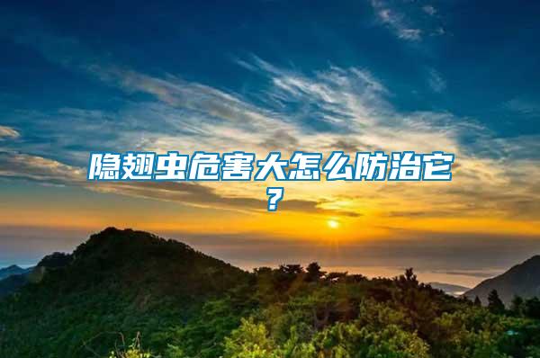 隱翅蟲危害大怎么防治它？
