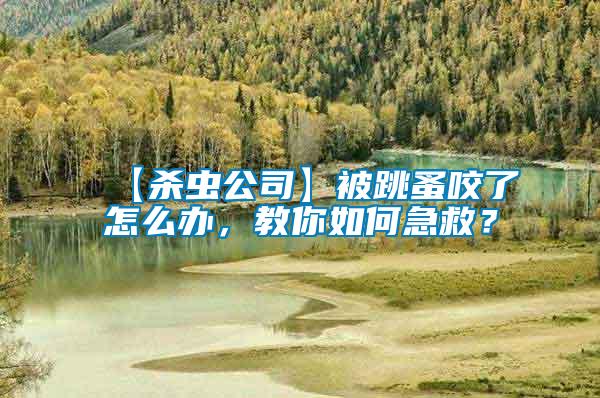 【殺蟲(chóng)公司】被跳蚤咬了怎么辦，教你如何急救？