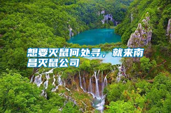 想要滅鼠何處尋，就來南昌滅鼠公司