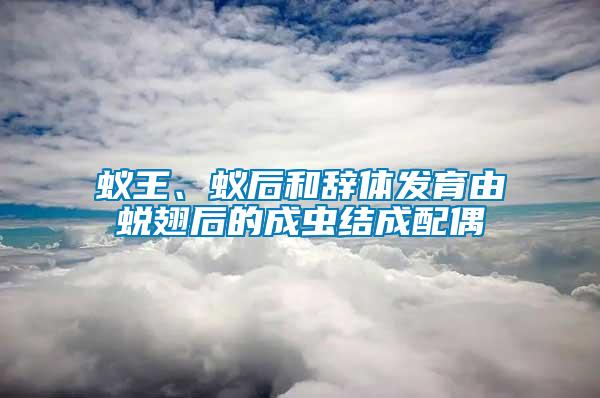蟻王、蟻后和辭體發育由蛻翅后的成蟲結成配偶