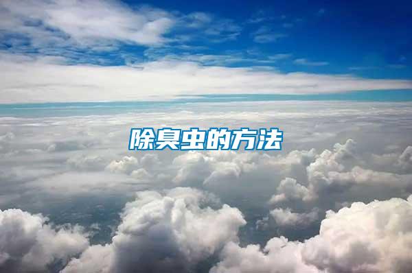 除臭蟲(chóng)的方法
