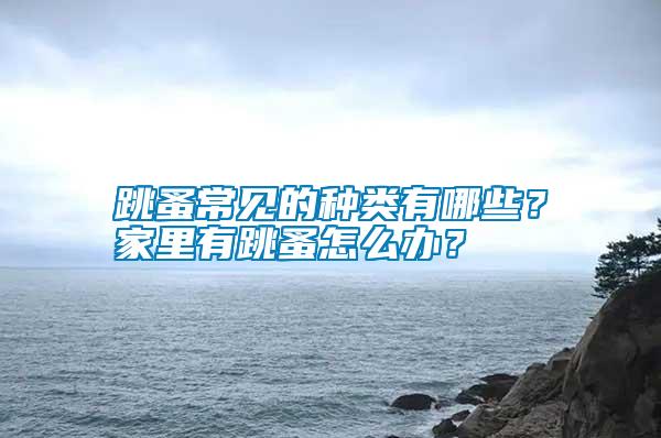 跳蚤常見的種類有哪些？家里有跳蚤怎么辦？