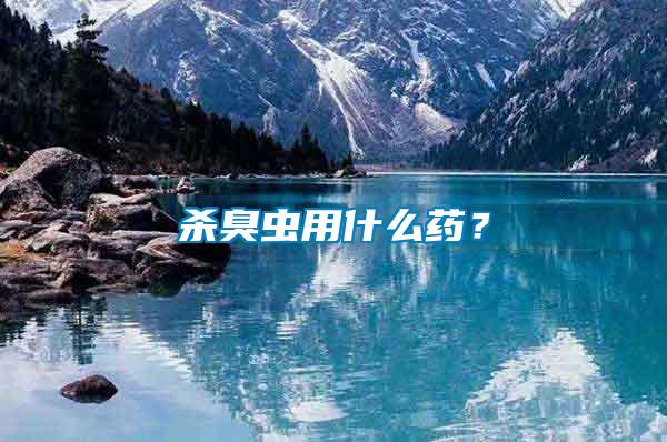 殺臭蟲用什么藥？