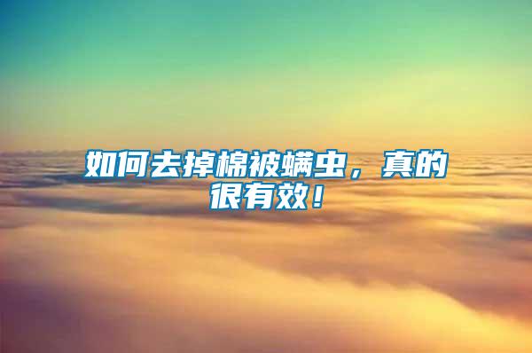 如何去掉棉被螨蟲，真的很有效！