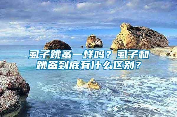 虱子跳蚤一樣嗎？虱子和跳蚤到底有什么區別？