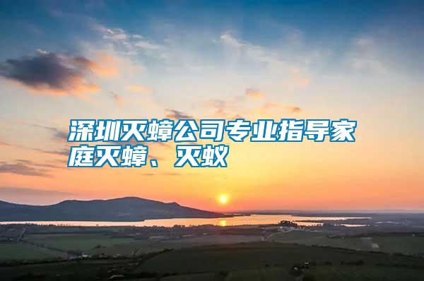 深圳滅蟑公司專業指導家庭滅蟑、滅蟻