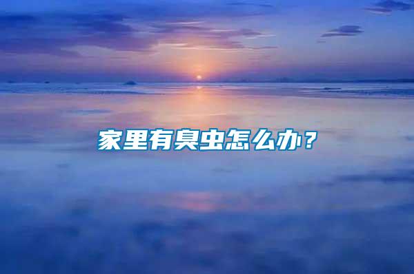 家里有臭蟲怎么辦？