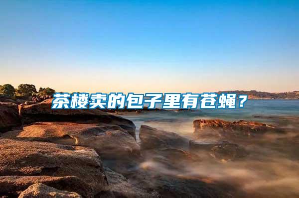 茶樓賣的包子里有蒼蠅？