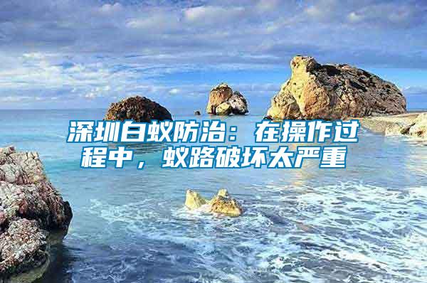 深圳白蟻防治：在操作過程中，蟻路破壞太嚴重