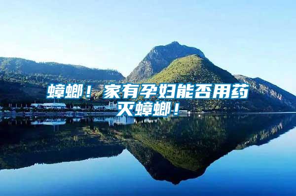 蟑螂！家有孕婦能否用藥滅蟑螂！