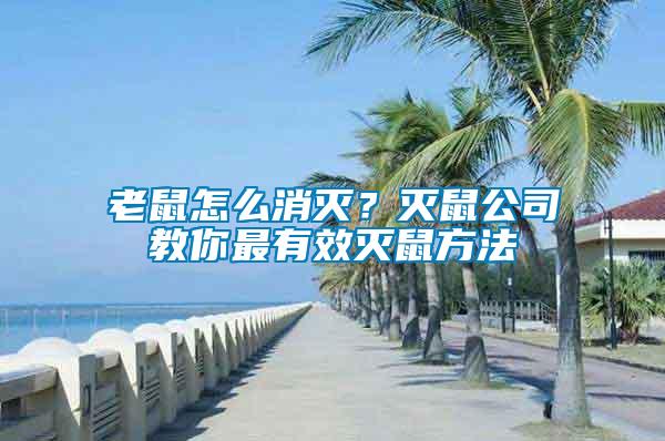 老鼠怎么消滅？滅鼠公司教你最有效滅鼠方法