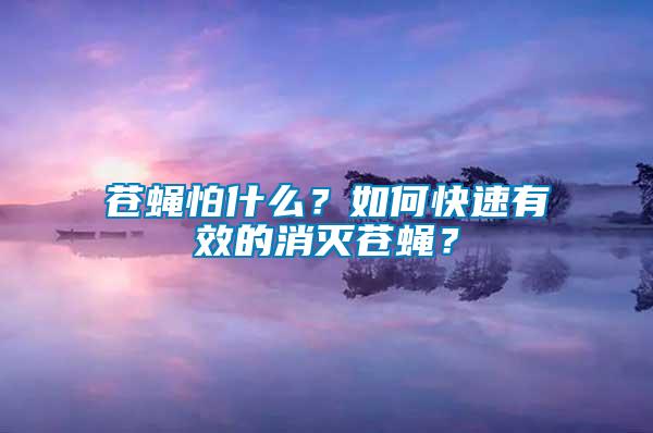 蒼蠅怕什么？如何快速有效的消滅蒼蠅？