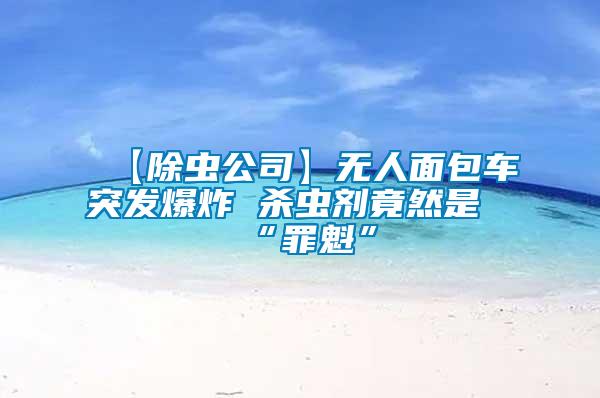 【除蟲公司】無(wú)人面包車突發(fā)爆炸 殺蟲劑竟然是“罪魁”