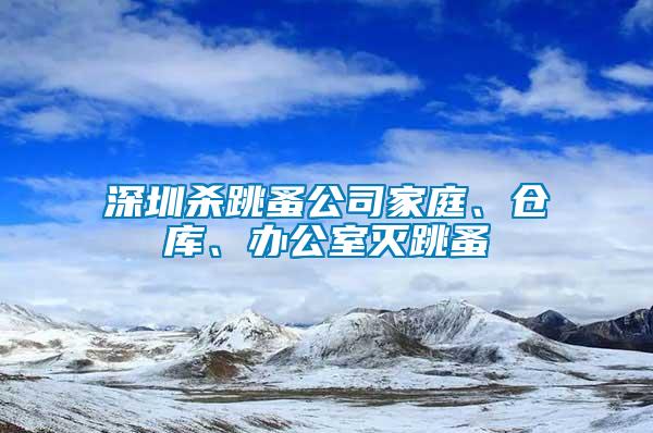 深圳殺跳蚤公司家庭、倉庫、辦公室滅跳蚤