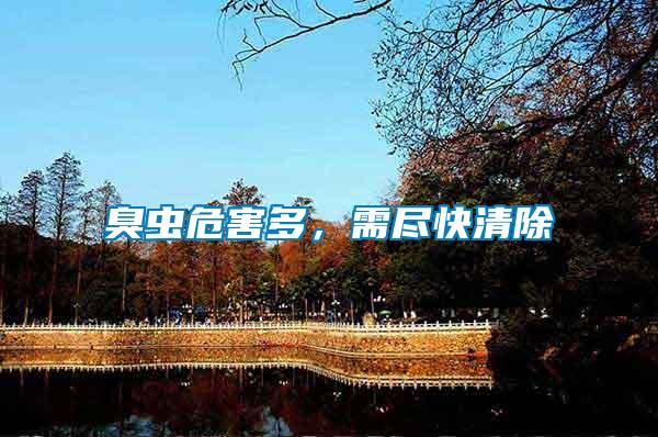 臭蟲危害多，需盡快清除