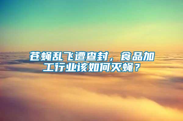 蒼蠅亂飛遭查封，食品加工行業(yè)該如何滅蠅？