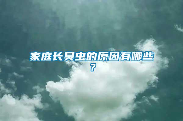 家庭長臭蟲的原因有哪些？