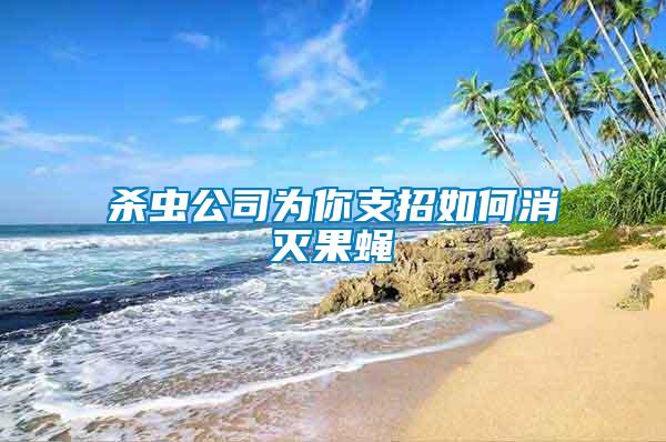 殺蟲(chóng)公司為你支招如何消滅果蠅