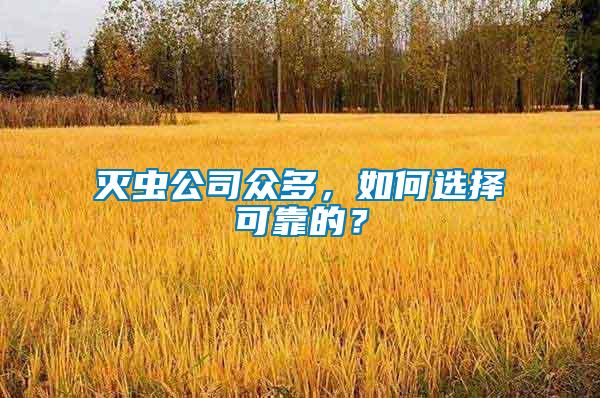 滅蟲公司眾多，如何選擇可靠的？