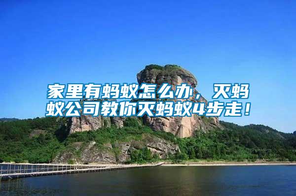 家里有螞蟻怎么辦，滅螞蟻公司教你滅螞蟻4步走！