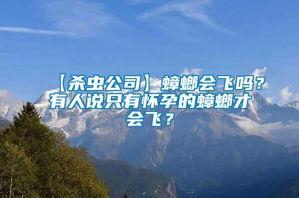 【殺蟲公司】蟑螂會(huì)飛嗎？有人說(shuō)只有懷孕的蟑螂才會(huì)飛？