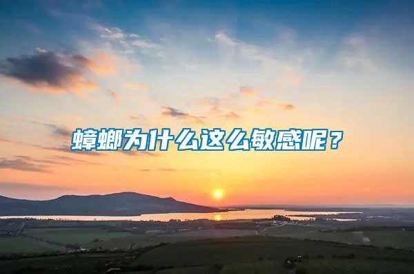 蟑螂為什么這么敏感呢？