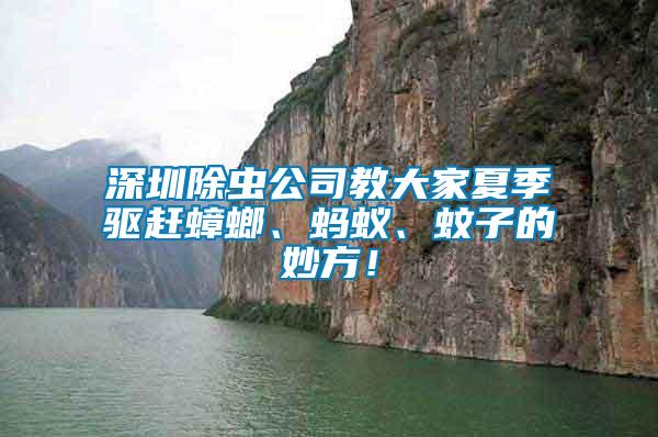 深圳除蟲公司教大家夏季驅趕蟑螂、螞蟻、蚊子的妙方！