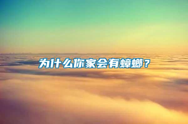 為什么你家會有蟑螂？