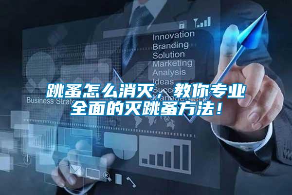 跳蚤怎么消滅，教你專業全面的滅跳蚤方法！