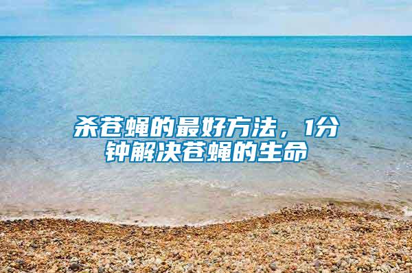 殺蒼蠅的最好方法，1分鐘解決蒼蠅的生命