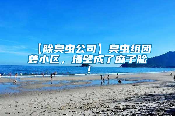 【除臭蟲(chóng)公司】臭蟲(chóng)組團(tuán)襲小區(qū)，墻壁成了麻子臉！